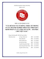 Tiểu luận pháp luật VẤN ĐỀ BẢO VỆ CỔ ĐÔNG THIỂU SỐ TRONG Ở CÁC DOANH NGHIỆP NIÊM YẾT THEO QUY ĐỊNH PHÁP LÝ CỦA MỘT SỐ NƯỚC – BÀI HỌC CHO VIỆT NAM