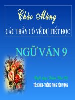 Trau doi von tu chuan KTKN