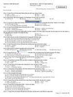 Đề thi HKII Tin Học 10 Đề số 4