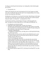 Đề cương ôn tập du lịch sinh thái