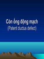 bài giảng còn ống động mạch