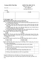 Đề thi GDCD6 học kỳ II (2010-2011) ma trận xịn