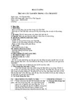 Bài 10. Cấu tạo bên trong của Trái Đất