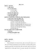 Sang Kien KN Tap doc lop 4