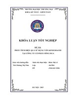 Phân tích hiệu quả sử dụng vốn kinh doanh tại công ty CP sông đà 4