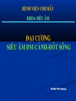 đại cương siêu âm động mạch cảnh đốt sống- bệnh viện chợ rẫy
