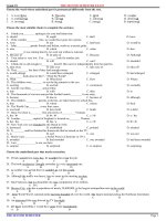 on thi hkii lop 10-tn 100%