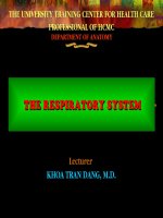 bài giảng về hệ hô hấp