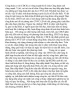 THAM LUẬN ĐẠI HỘI CBCNVC.