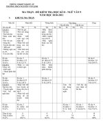 ĐỀ THI HKII NGỮ VĂN 9 (10-11)