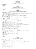 GIÁO ÁN TUẦN 34 LỚP 3 CKT - KNS