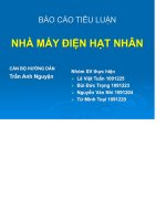 Báo cáo tiểu luận Nhà máy điện hạt nhân