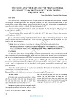 Tối ưu hóa quá trình lên men thu nhận bacterial cellulose từ môi trường whey và môi trường phụ phẩm thơm