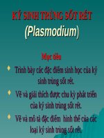 bai giang ky sinh trung sot ret