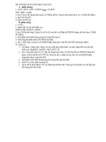 ĐỀ THI HÓA 10 HỌC KÌ II (2010-2011)