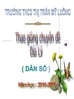 dan so - su gia tang dan so