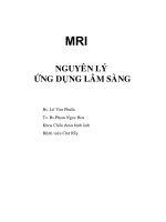 MRI Nguyên lý ứng dụng lâm sàng cộng hưởng từ