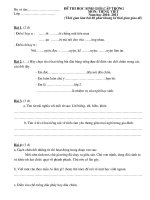 Đề thi HSG lớp 2. Môn Tiếng Việt- năm học 2010- 2011 (Đề chính thức)