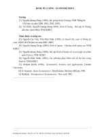 Bài giảng Kinh tế lượng - Nguyễn Cao Văn