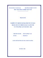 Nghiên cứu bệnh nấm hại một số cây rau họ bầu bí (cucurbitaceae) tại hà nội và vùng phụ cận năm 2013 - 2014