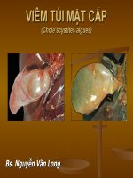 Chẩn đoán hình ảnh viêm túi mật cấp