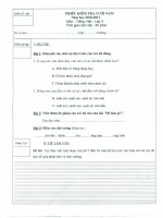 Tiếng Việt + Toán cuối năm 10-11