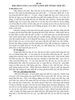 skkn Nang cao chat luong HS yeu V