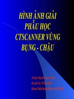 Hình ảnh giải phẫu cắt lớp vùng bụng