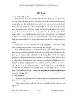 Nghiên cứu ứng dụng dịch chiết từ bắp cải tím trong chế biến gạo tím