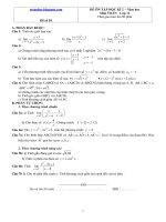 De on tap Toan 11 HK2  de so 10