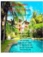 GIỚI THIỆU TỔNG QUAN VỀ ĐÀ NẴNG RESORT