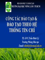 Công tác đào tạo  đào tạo theo hệ thống tín chỉ