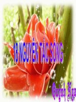 18 NGUYEN TAC SONG