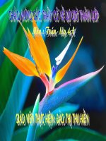 on tap ve tim so trung bing cong l4 t34