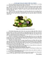 Lợi ích quan trọng của vitamin K đối với cơ thể trẻ