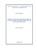 Nghiên cứu một số đặc điểm sinh học phân tử của virus lở mồm long móng type o phân lập được tại hà nội năm 2013