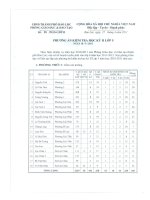 Phương án kiểm tra học kỳ 2_Lớp 5-Năm học 2010-2011