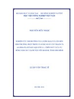 Nghiên cứu ảnh hưởng của lượng kali và lân đến sinh trưởng, phát triển và năng suất cây trạch tả (alisma plantago aquatica l  ) trên đất 2 lúa vụ đông năm 2013 tại huyện yên khánh, tỉnh ninh bình