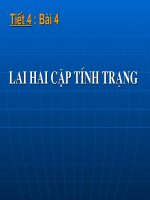 Tiết 4: Lai hai cặp tính trạng