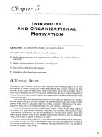 CHAPTER 05 individual  organizational motivation