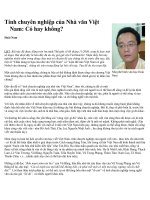 Tính chuyên nghiệp của nhà văn Việt nam..