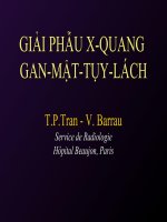 Giải phẫu xquang gan mật tụy lách