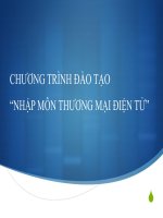 Nhập môn thương mại điện tửThanh toán trưc