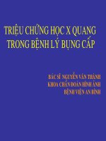 triệu chứng bệnh học  xquang trong bệnh lý bụng cấp