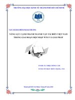 TIỂU LUẬN NĂNG LỰC CẠNH TRANH NGÀNH VẬN TẢI BIỂN VIỆT NAM TRONG GIAI ĐOẠN HỘI NHẬP WTO VÀ GIẢI PHÁP