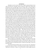 báo cáo kiến tập tại công ty TNHH chè Hoài Trung