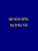 Siêu âm một số di chứng mạch máu não