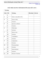 Giáo án bồi dưỡng học sinh giỏi Tiếng Anh 9