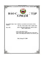 BÁO CÁO THỰC TẬP SƯ PHẠM KỸ THUẬT: ĐỊA ĐIỂM THỰC TẬP : TRƯỜNG CAO ĐẲNG XÂY DỰNG CÔNG TRÌNH                                         ĐÔ THỊ  PHÂN HIỆU THỪA THIÊN HUẾ