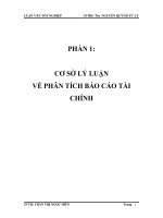Luận văn: Phân tích báo cáo tài chính